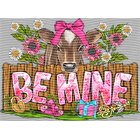 Valentine's Day-QRJ  5885